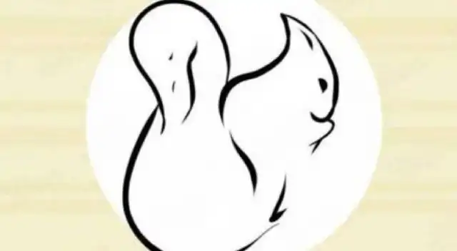 Identifica el animal que veas primero y te contaremos un detalle de tu vida