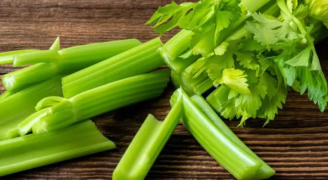 Este producto posee elementos que otros vegetales carecen, por lo que es apreciado por los especialistas.
