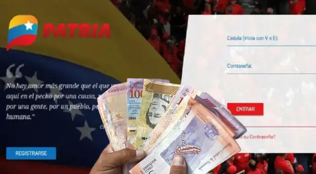 Conoce los pasos que debes seguir para recuperar tu acceso en la Plataforma Patria.