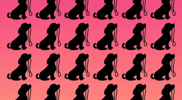 Encuentra cuál es la figura del perrito que no pertenece al grupo: solo una es la respuesta.
