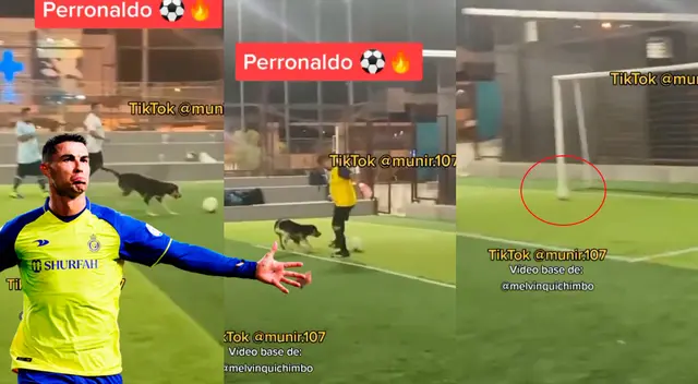 Perro se convirtió en delantero y narrador se emocionó al hacerle recordar a Cristiano Ronaldo.