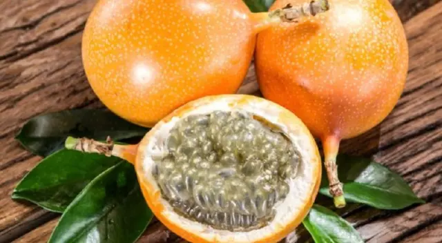 Este alimento crece en los Andes del sur de nuestro país.
