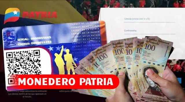 En esta nota podrás conocer todos los detalles del monedero Patria.