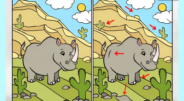 retos visuales