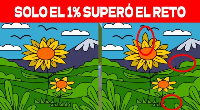 reto visual