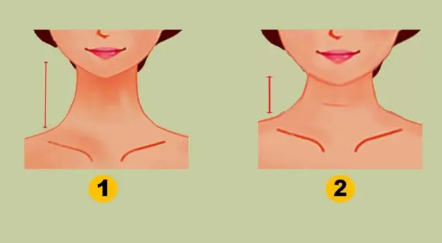 Identifica la longitud de tu cuello y descubre los rasgos que más te diferencian del resto.