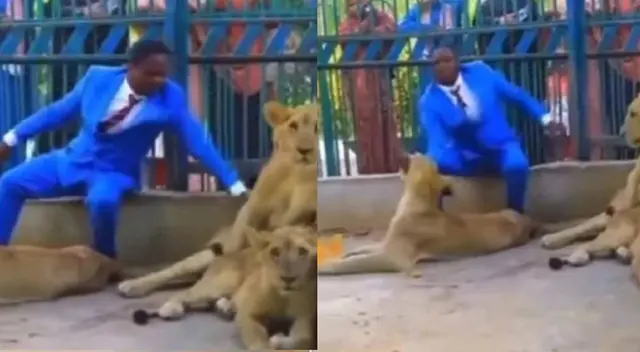 Pastor ingresó a jaula de leones y fue atacado por uno de ellos Pastor ingresó a jaula de leones y fue atacado por uno de ellos