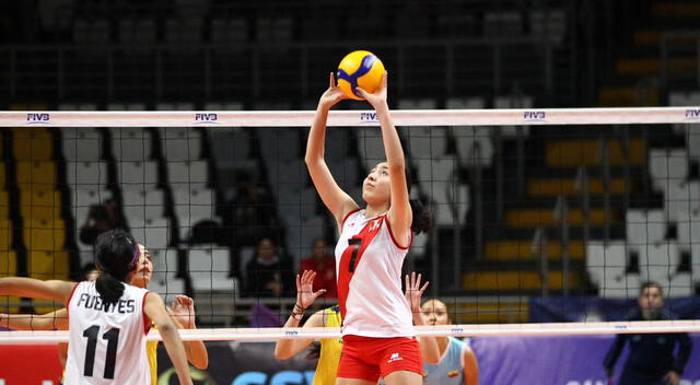 voley
