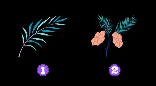 ¿Opción 1 o 2? Tu respuesta te brindará mayores detalles de tu forma de ser gracias al test visual.