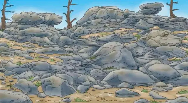 retos visuales