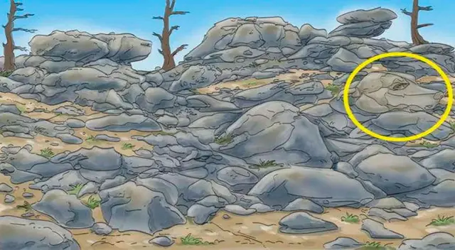 retos visuales