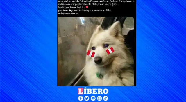 Los hinchas piden que Juan Reynoso deje el cargo de la Selección Peruana.