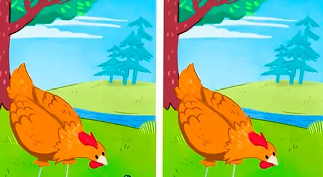 Descubre uno de los juegos visuales más complicados en redes sociales.