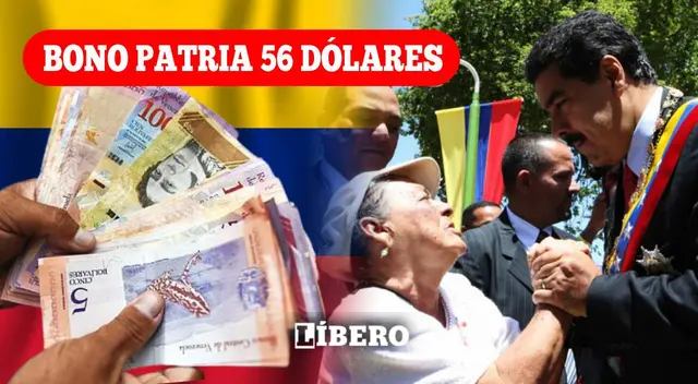 En esta nota podrás conocer todos los detalles del Bono Patria 56 dólares.