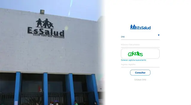 Conoce más información sobre el subsidio que entrega EsSalud a las madres.