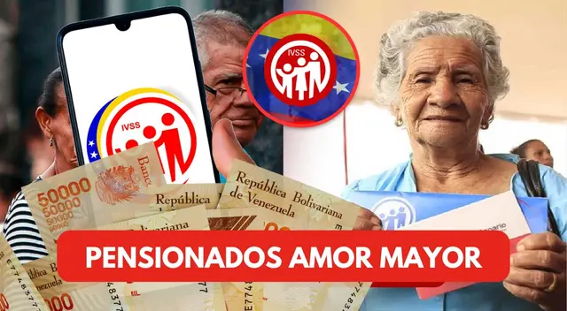 Revisa AQUÍ cómo ser un pensionado en la Plataforma Patria.