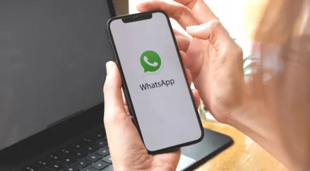 Conoce cómo conversar con la inteligencia artificial en WhatsApp en el 2023.