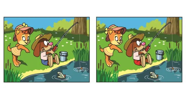 retos visuales