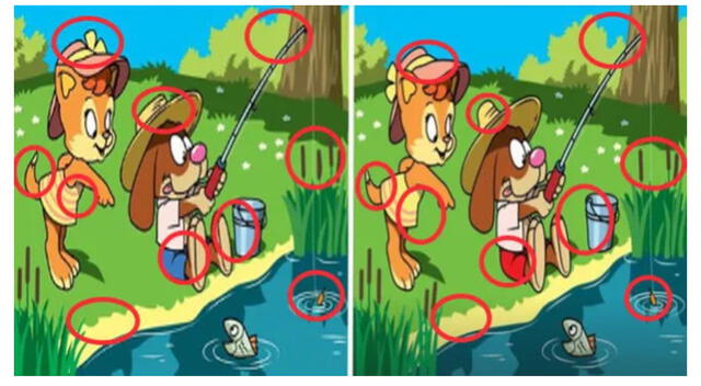 retos visuales