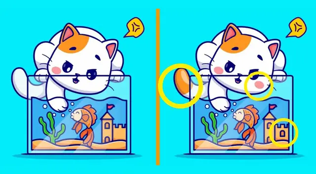 retos visuales
