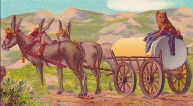 Solo las personas más inteligentes han logrado superar este desafío. Solo las personas más inteligentes han logrado superar este desafío.