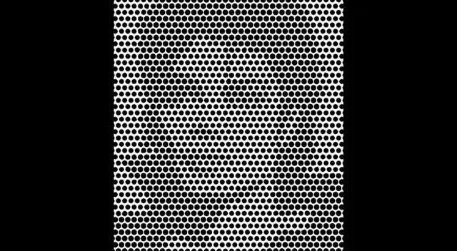¿Qué artista famoso se esconde en la ilusión óptica de esta prueba mental?