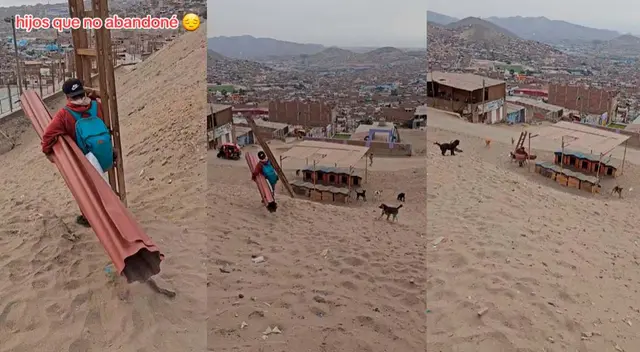Un joven es viral en redes sociales luego construir un hogar para perros.