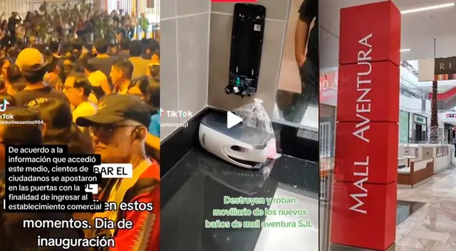 Un grupo de personas causaron disturbios en el Mall de SJL.