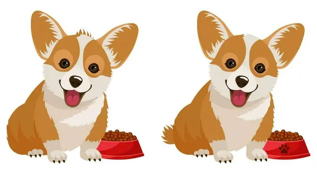 Busca las fallas del perro en este desafío mental