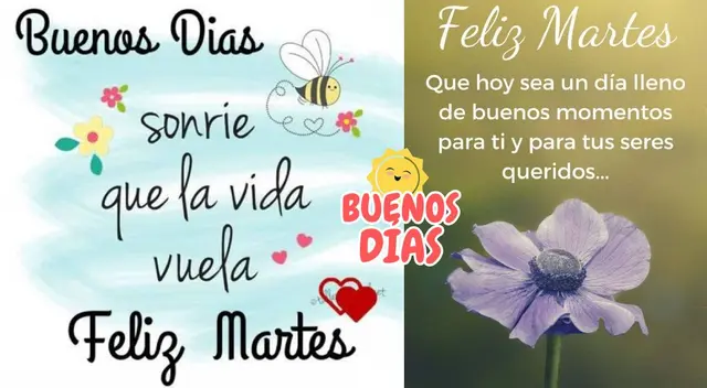 Elige qué frase es la mejor para ti entre estas que son las más populares