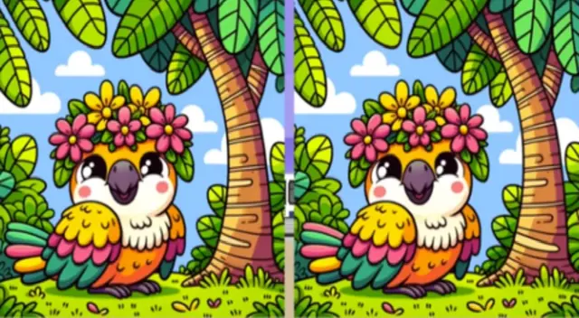 Demuestra que tienes muy buena visión y desarrolla este reto visual.