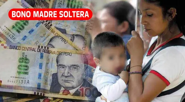 El Bono Madre Soltera es un proyecto de ley que busca beneficiar a este sector de la población. El Bono Madre Soltera es un proyecto de ley que busca beneficiar a este sector de la población.
