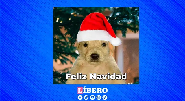 Miles de personas se saludan con este meme de "Feliz Navidad".