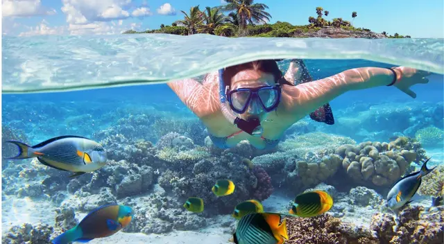 Estas son las cinco mejores playas para practicar snorkel gratuito en Aruba Estas son las cinco mejores playas para practicar snorkel gratuito en Aruba