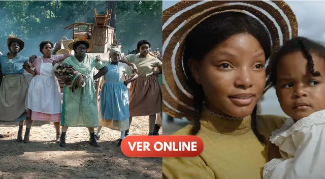 Conoce AQUÍ dónde VER ONLINE 'El color púrpura' con Halle Bailey.
