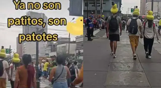 Los patitos kawai que han revolucionado las calles con su tamaño