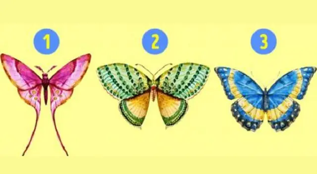 Conoce detalles de lo que será tu 2024 con las mariposas del test