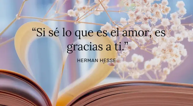 Las mejores frases de amor para dedicar a esa persona especial Las mejores frases de amor para dedicar a esa persona especial