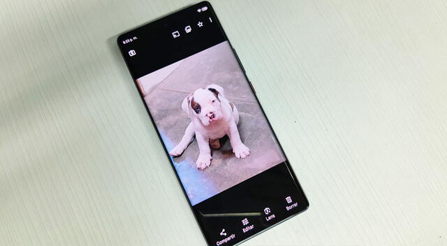 ZTE AXON 50 5G