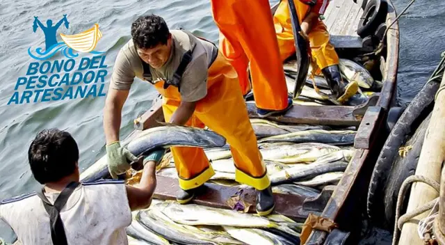 Consulta con tu DNI si eres beneficiario del Bono Pescador Artesanal. Consulta con tu DNI si eres beneficiario del Bono Pescador Artesanal.
