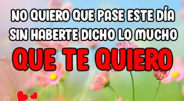 Recuérdale a esa persona que lo quieres mucho. Recuérdale a esa persona que lo quieres mucho.