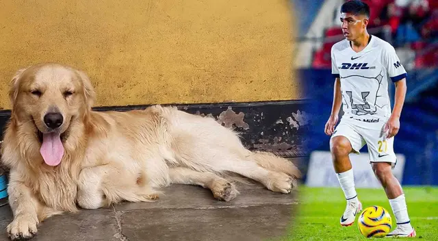 Drago es la mascota del volante Piero Quispe.