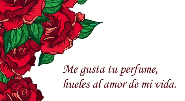 Descarga en esta nota las mejores frases de amor y amistas para dedicar.