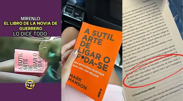 ana paula consorte instagram