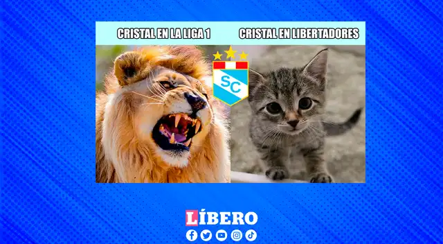 Los 'Celestes' mostraron un desempeño diferente a la de la Liga 1. Los 'Celestes' mostraron un desempeño diferente a la de la Liga 1.