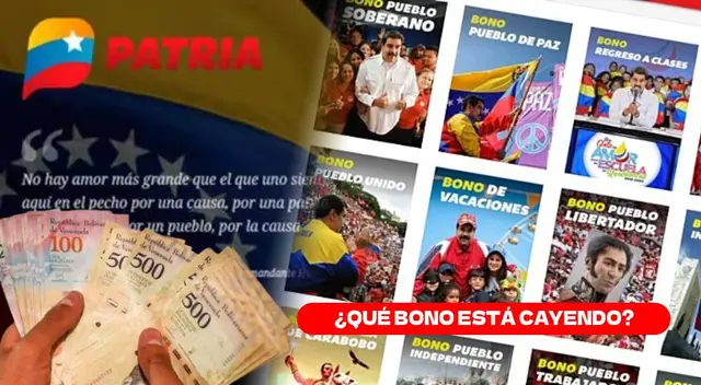 Los Bonos Protectores de la Patria de marzo llegaron al Sistema Patria.