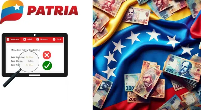 Conoce qué significa saldo negativo en el Monedero Patria. Conoce qué significa saldo negativo en el Monedero Patria.