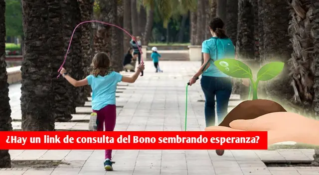 Conoce si el Estado peruano activó la entrega del Bono sembrando esperanza. Conoce si el Estado peruano activó la entrega del Bono sembrando esperanza.