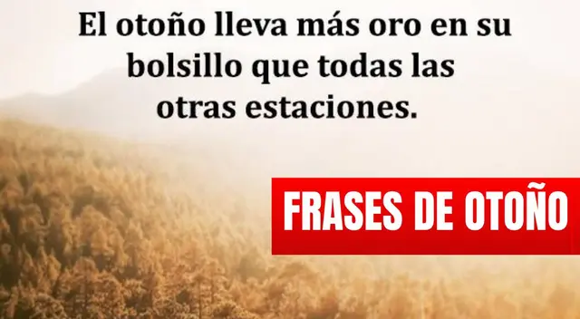 Las mejores frases para celebrar la llegada del otoño Las mejores frases para celebrar la llegada del otoño