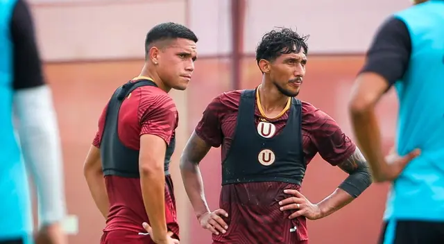 universitario universitario